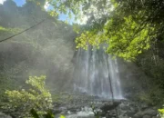 Potensi Wisata Alam Kutai Barat yang Belum Banyak Diketahui: Surga Tersembunyi di Pedalaman Kalimantan Timur
